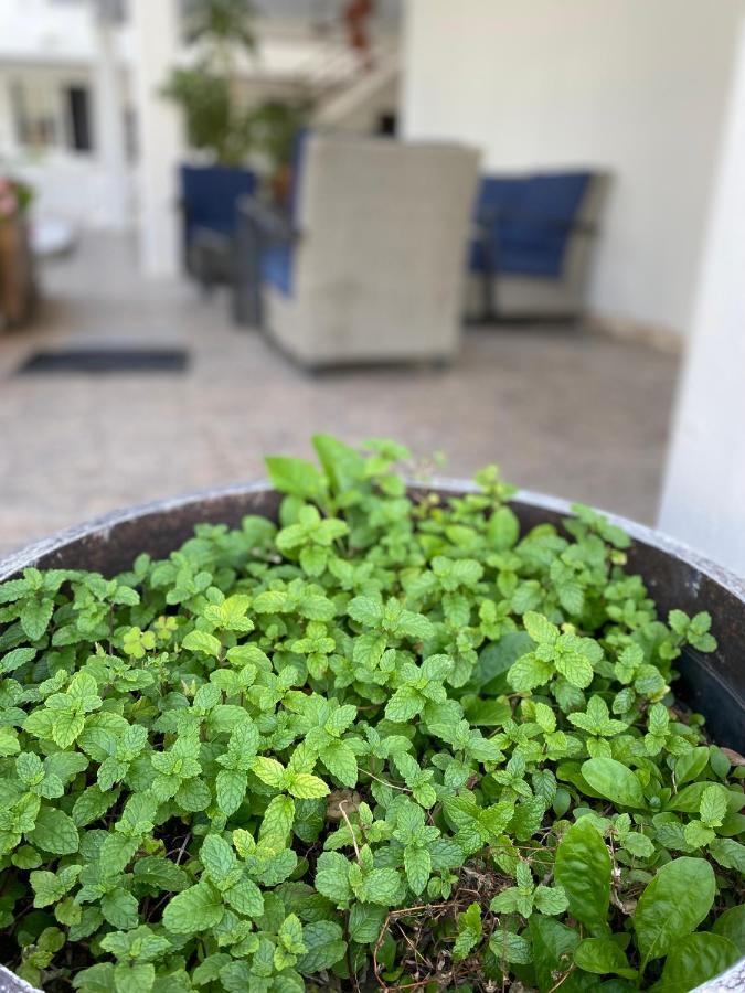 Hotel Balxiba Πλάγια Ντελ Κάρμεν Εξωτερικό φωτογραφία